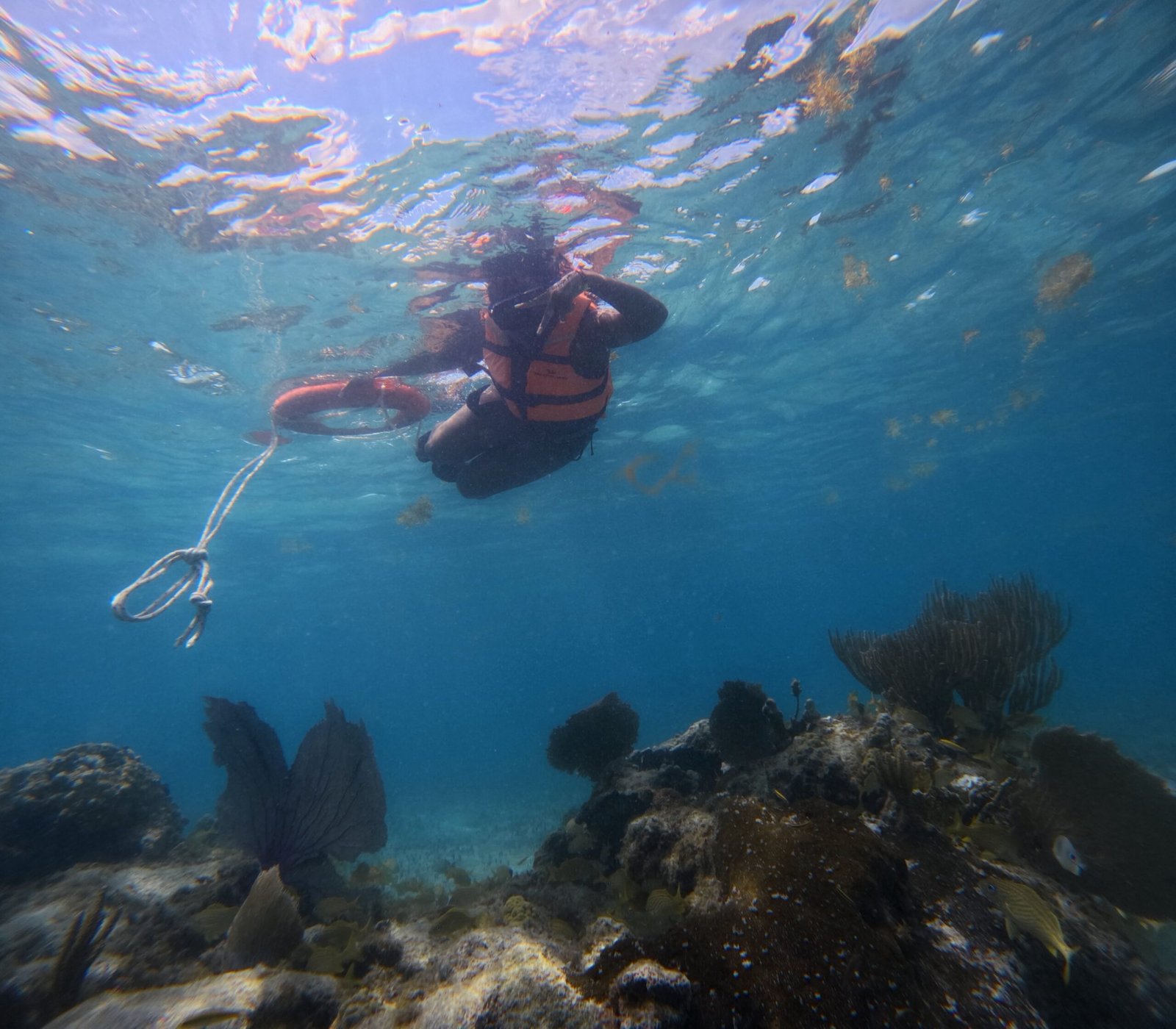 Snorkeling sobre el arrecife de Cozumel