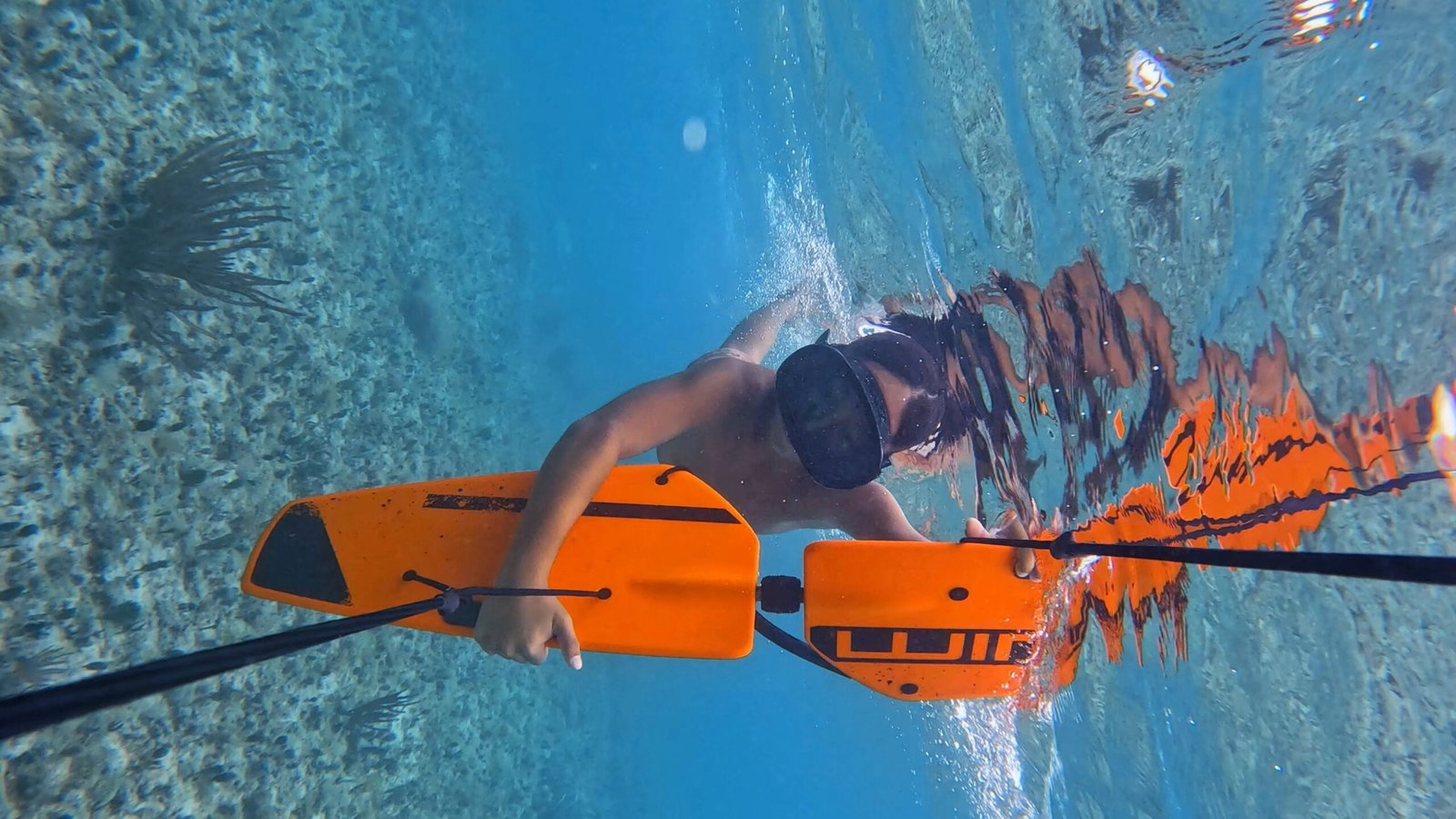 Subwing bajo el agua